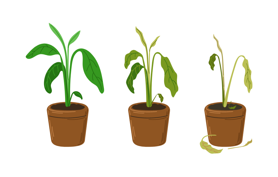 Heat Stressed Plant Cycle