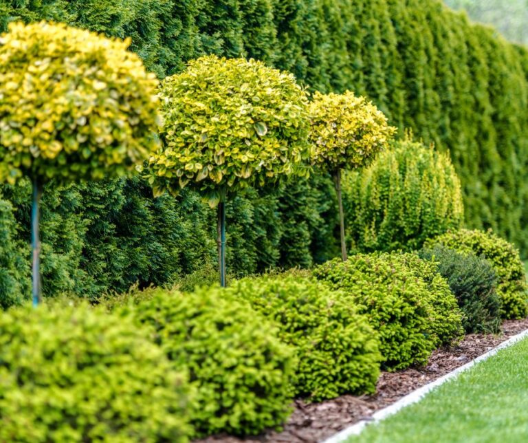 Louisiana Fall Planting Guide - Louisiana Nursery