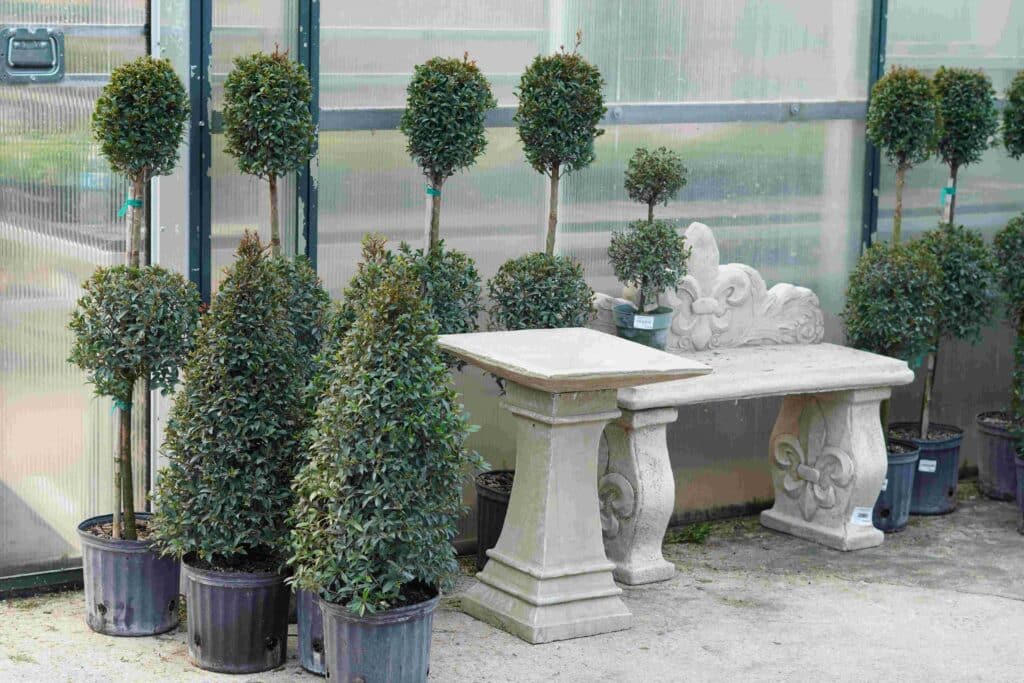 Assorted Eugenia plants