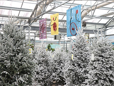 Snow-covered Christmas trees in a greenhouse with colorful banners hanging above.