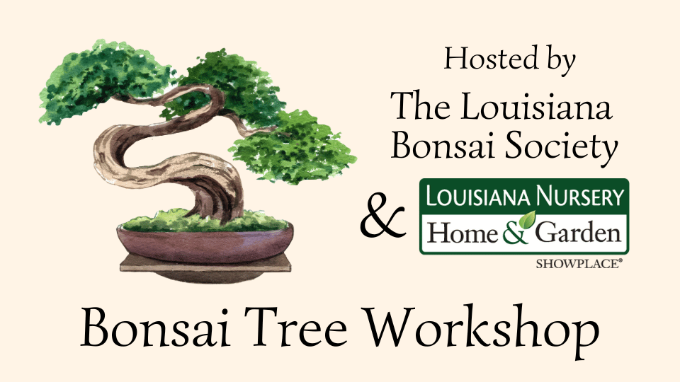 Bonsai Tree Workshop