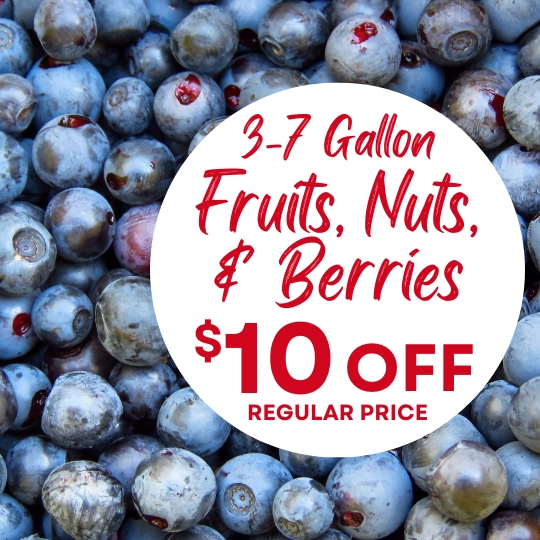 Close-up of blueberries with a circular text overlay offering $10 off 3-7 gallon fruits, nuts, and berries at regular price.