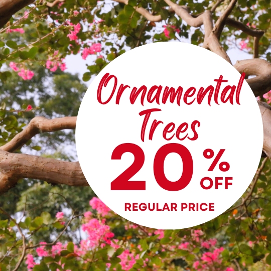 Promo image with a white circle showing the text 'Ornamental Trees 20% OFF' over pink flowering branches in the background.