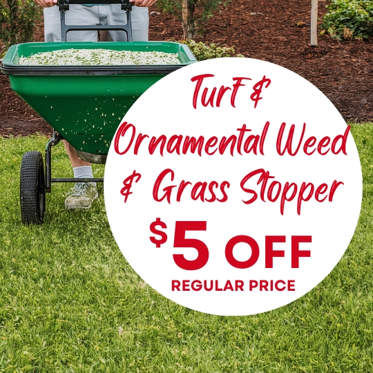 A person pushes a green lawn spreader on grass; text offers $5 off turf and ornamental weed and grass stopper.