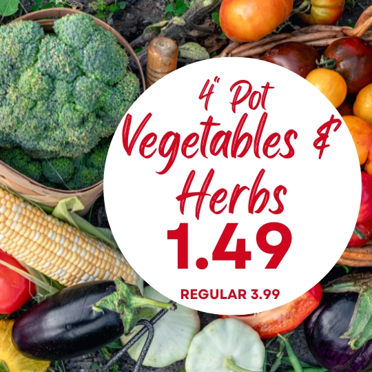 Assorted fresh vegetables and herbs with a sign that reads: 4" Pot Vegetables & Herbs 1.49, Regular 3.99.