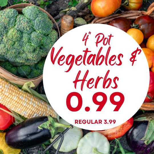 A variety of fresh vegetables and herbs with a sign that reads “4" Pot Vegetables & Herbs 0.99 Regular 3.99”.