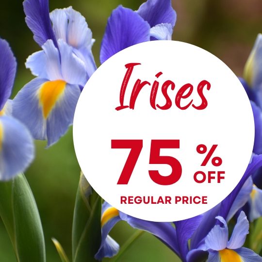 Purple and yellow irises with a white circle overlay reading "Irises 75% off regular price" in red text.