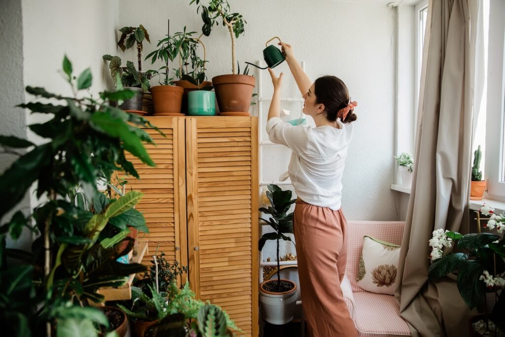 A woman waters house plants Baton Rouge-style atop a wooden cabinet in a sunlit room brimming with lush, vibrant greenery.