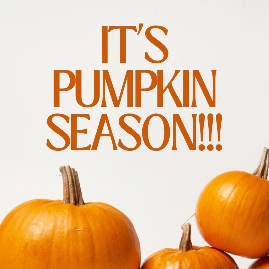 Three pumpkins under bold text that reads, “It’s pumpkin season!!!” on a plain white background.