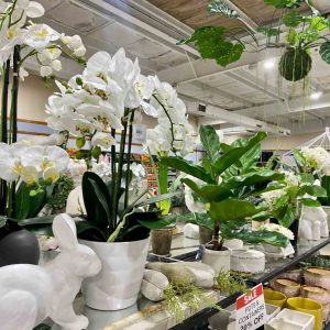 Indoor Display - Coursey